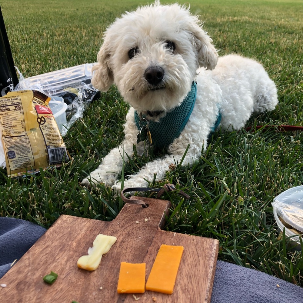 Meet your Posher, Mackenzie